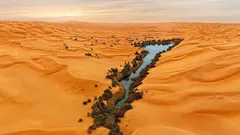 Två meter under världens torraste öken upptäcktes en dold ”oas”