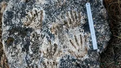 Forskare hittade handavtryck på en isolerad plats – men ingen vet vem som lämnade dem