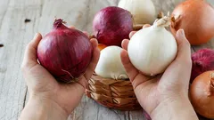 Få känner till det – här är den viktigaste skillnaden mellan gul och röd lök