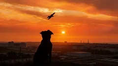 Hunden övergavs på gatan med en grym lapp: innehållet gjorde till och med volontärerna upprörda